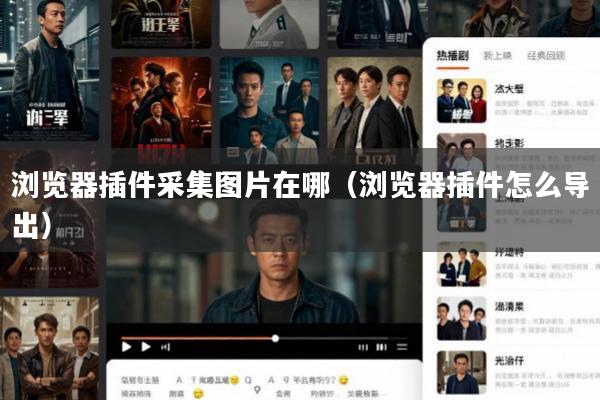 浏览器插件采集图片在哪(浏览器插件怎么导出)