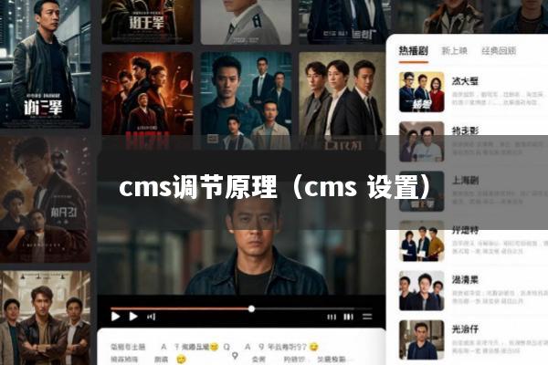 cms调节原理(cms 设置)
